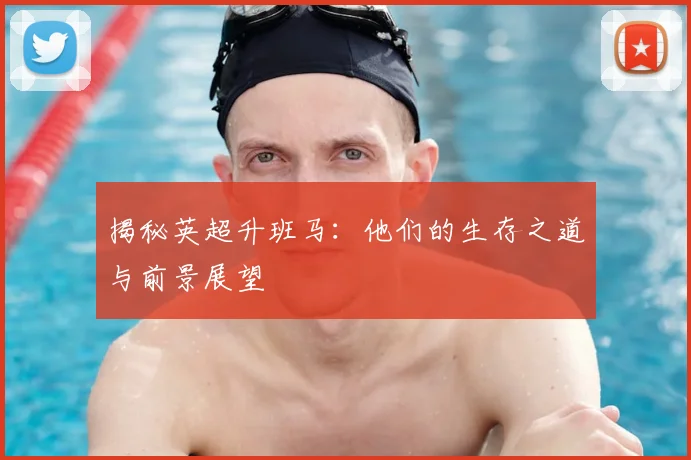 揭秘英超升班马：他们的生存之道与前景展望