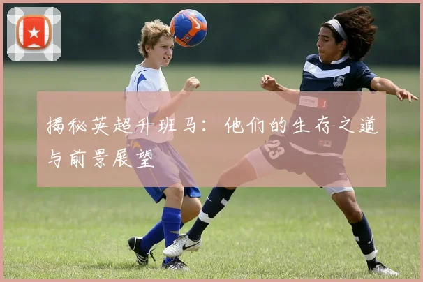 揭秘英超升班马：他们的生存之道与前景展望